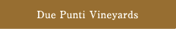 Due Punti Vineyards
